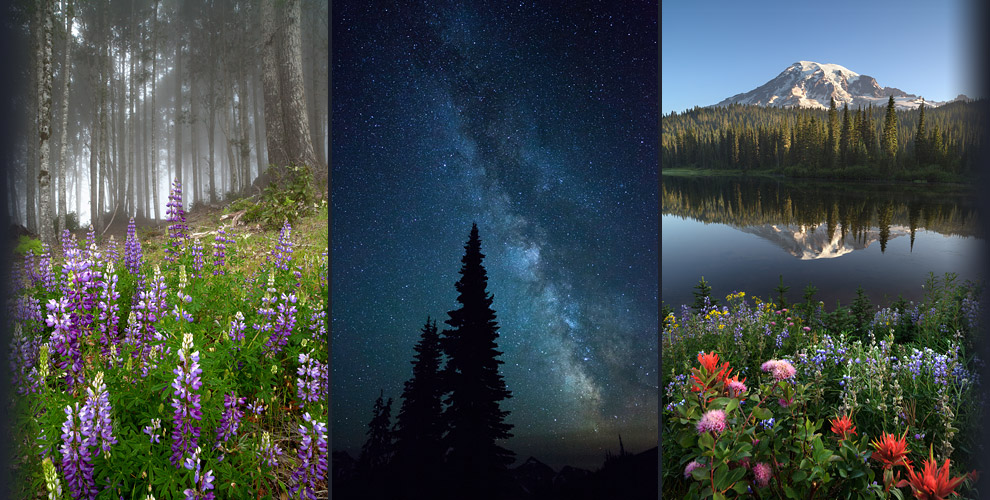 Derek Dammann Photography