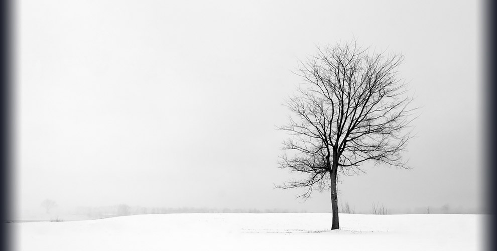 Derek Dammann Photography